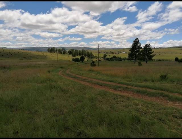 FARM FOR SALE IN LYDENBURG RURAL